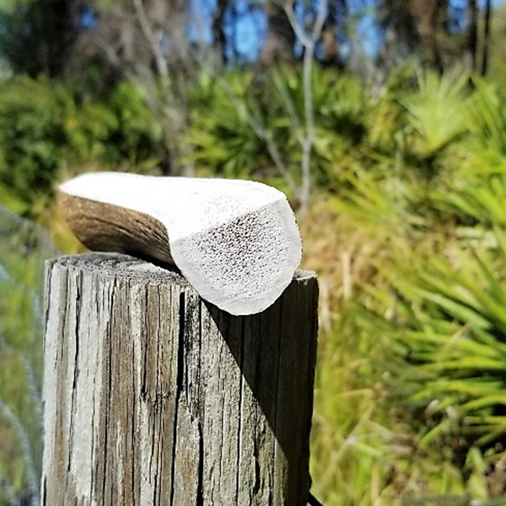 Bullysticks Organic Half Cut Elk Antler 7"9" ( 2 per bag)