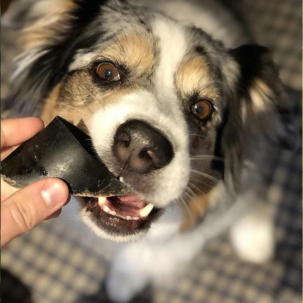 Bullysticks Organic Beef Hooves (10 per bag)