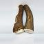 10-12" XXL Elk Antler (1 per bag)
