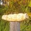 Beef Cheek Roll Bully Dusted 10"-12" (4 per bag)
