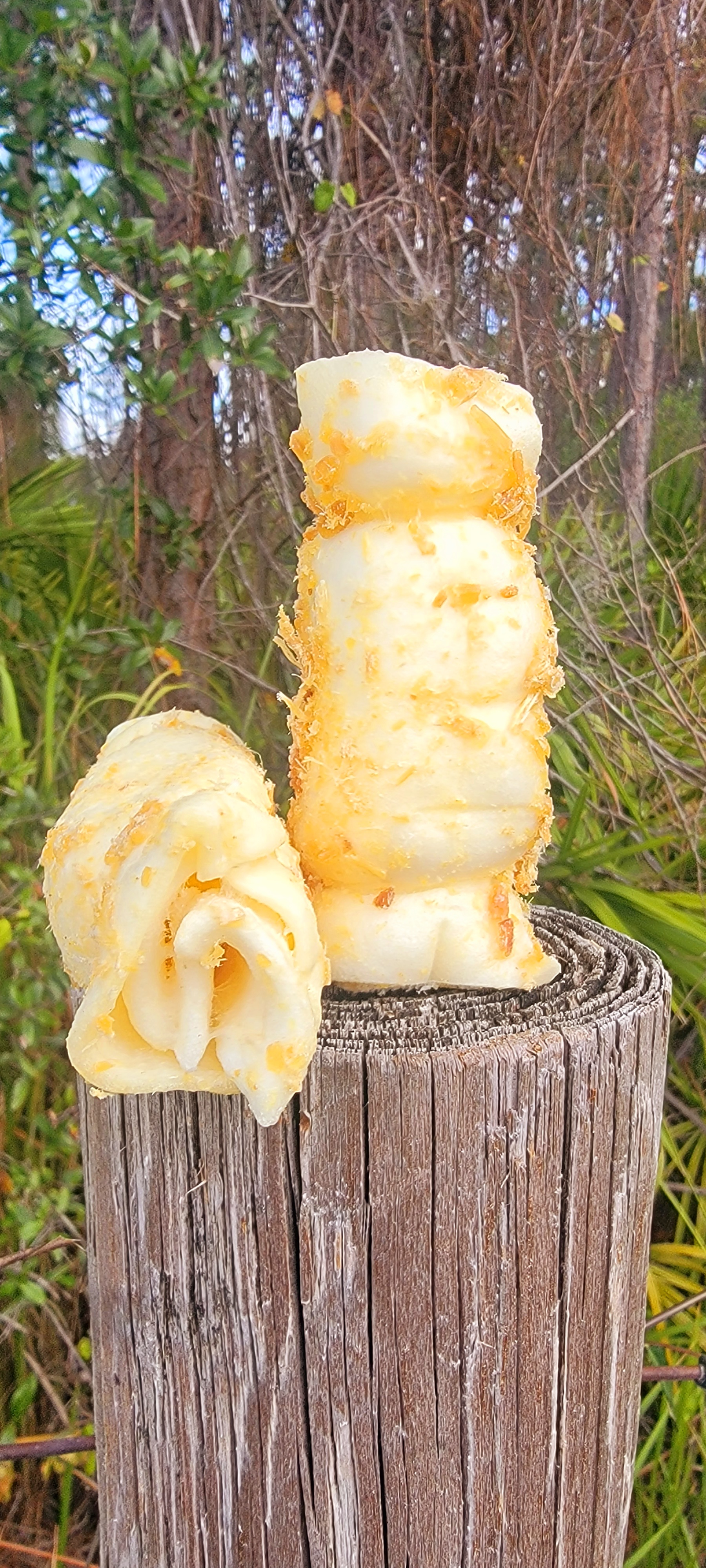 Bullysticks Organic: Mini Beef Cheek Roll 3