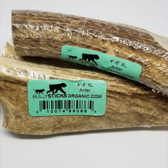 4"-6" X-Large Elk Antler dog chew (1 piece per bag)