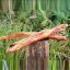 Meaty Beef Tendon - Large (10 pack)