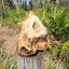 Beef Knuckle Bone (3 per bag)