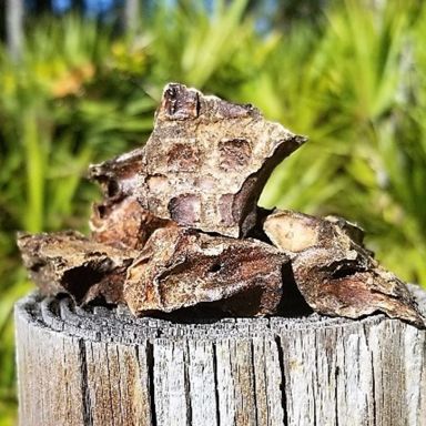 Lamb Lung Cubes (8 oz bag )