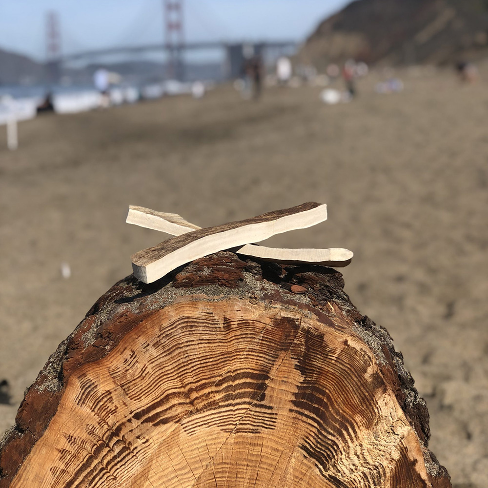 Bullysticks Organic: Medium Moose Antler (1 per bag)