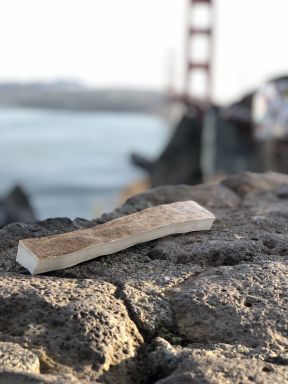 Medium Moose Antler (1 per bag)