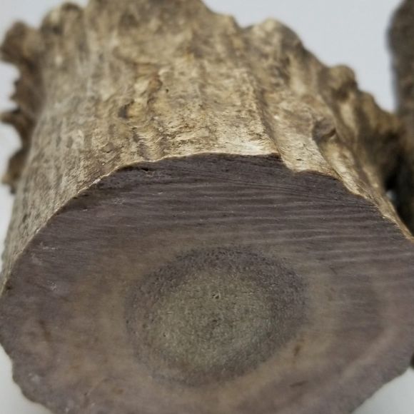 Moose bud (1 per bag)