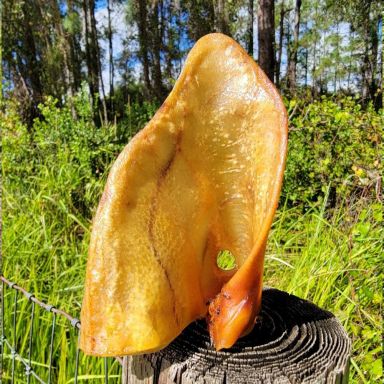 Pig Ears (10 per bag)