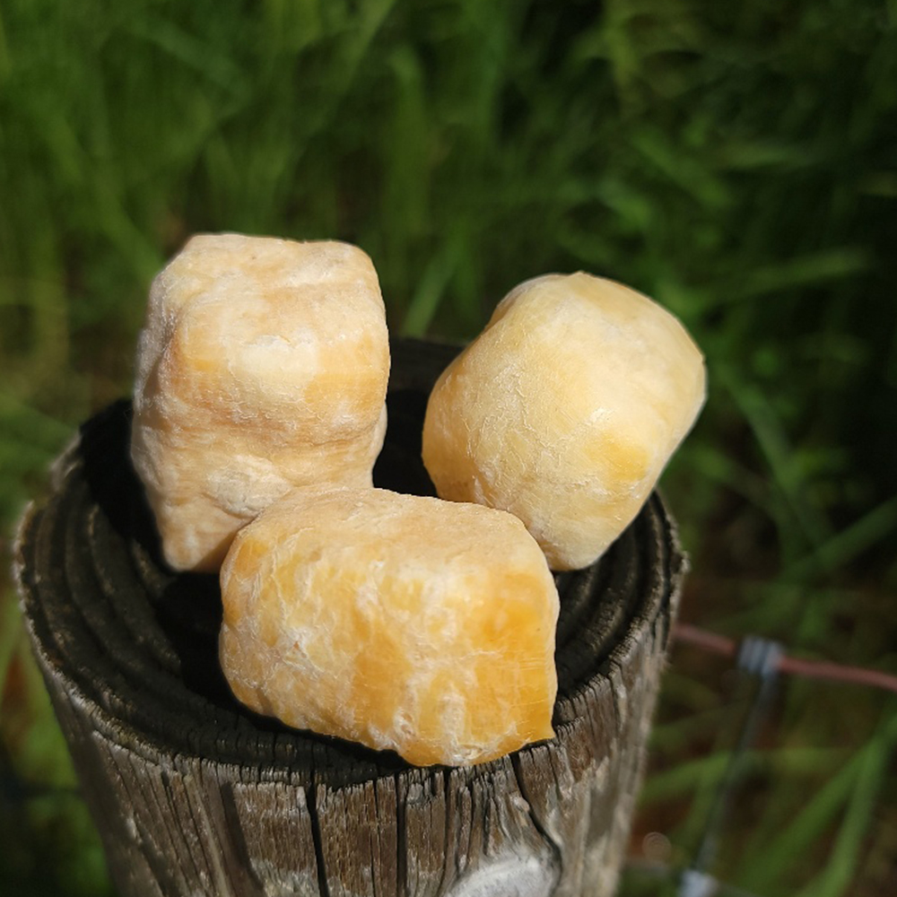 Yak Cheese Puff (1 lb. bag) Photo №1