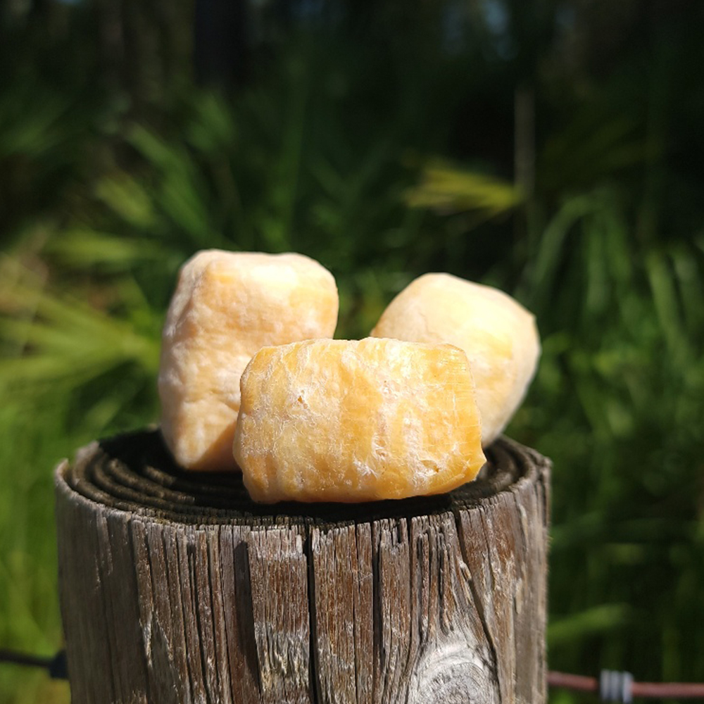 Yak Cheese Puff (1 lb. bag) Photo №2