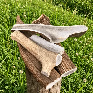 Antlers