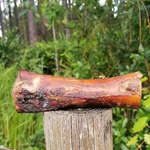 Bones Category image