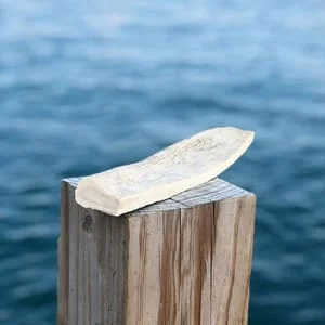 Cut Antlers Category image