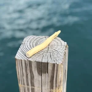 Dog Chews Category image